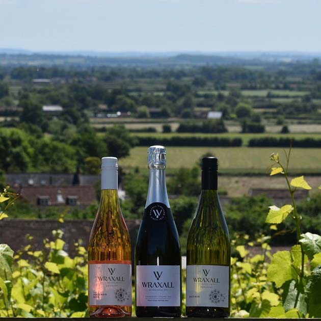 Award winning English wines by Wraxall with the vineyard and the view behind