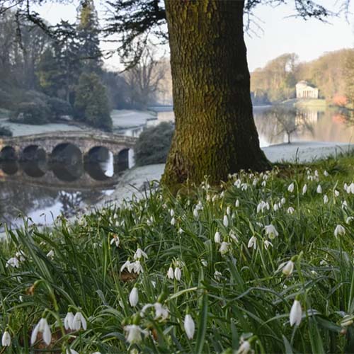 Stourhead garden looking over the lake