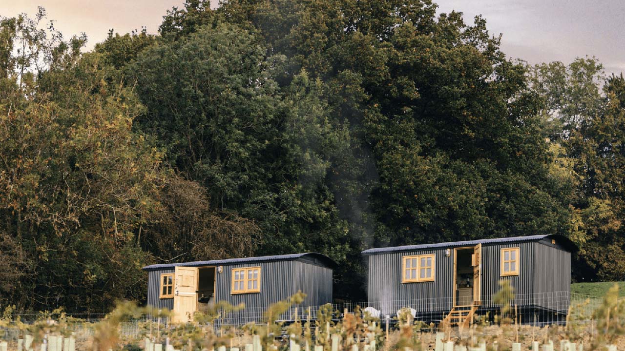 shepherds huts seen across the vines
