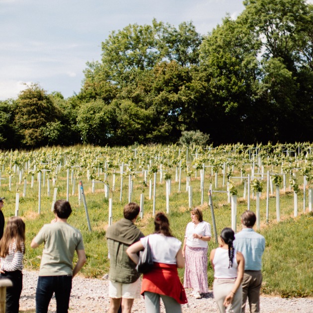 Tours and Tastings